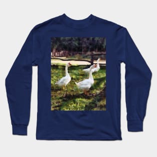 Geese - Three White Geese Long Sleeve T-Shirt